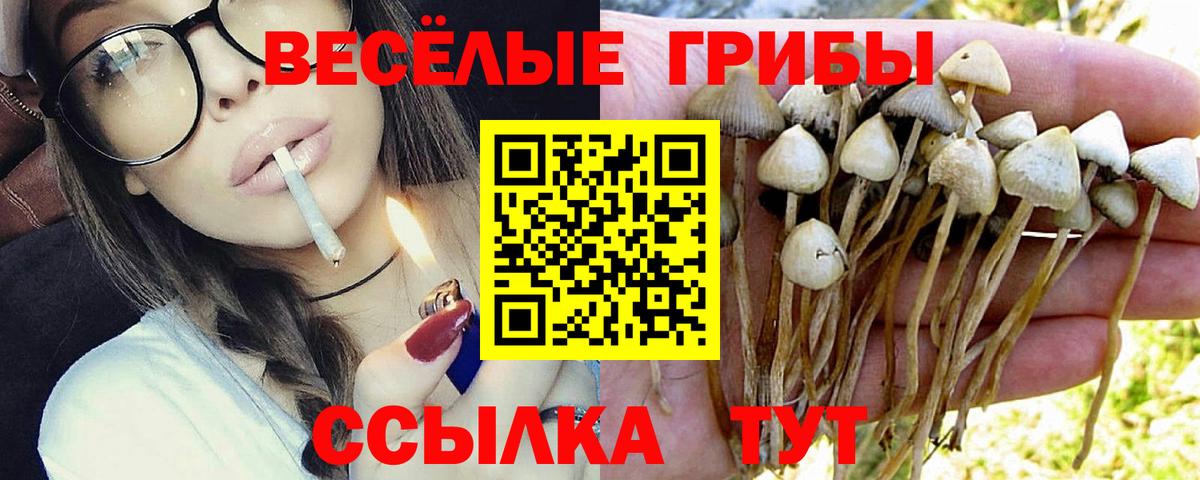 Псилоцибиновые грибы Magic Shrooms Апатиты